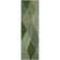 Premium Machine Washable Prisco Green Rug