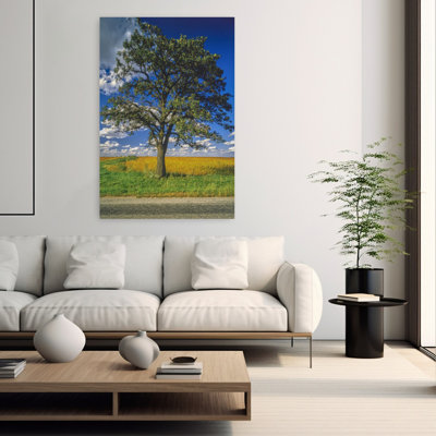 Single Oak Tree On Country Road, Farm, Grass Field, Blue Sky Clouds, Il, Usa Abstract Contemporary Forest Landscape Wall Art