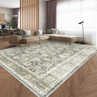 Dezrae Oriental 120cm X 170cm Area Rug