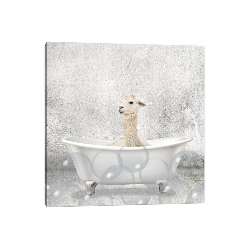 «Baby Llama Bath» par Kimberly Allen - impression d'art graphique, H 12 po x l 12 po x P 0,75 po, Toile tendue