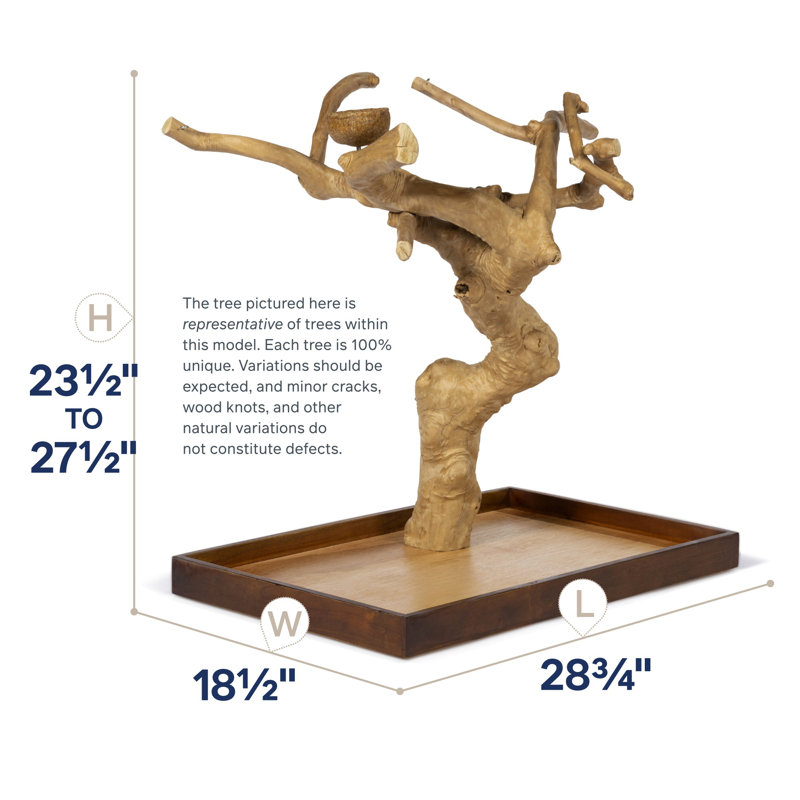 Large Natural Coffeawood Table Top Bird Playstand