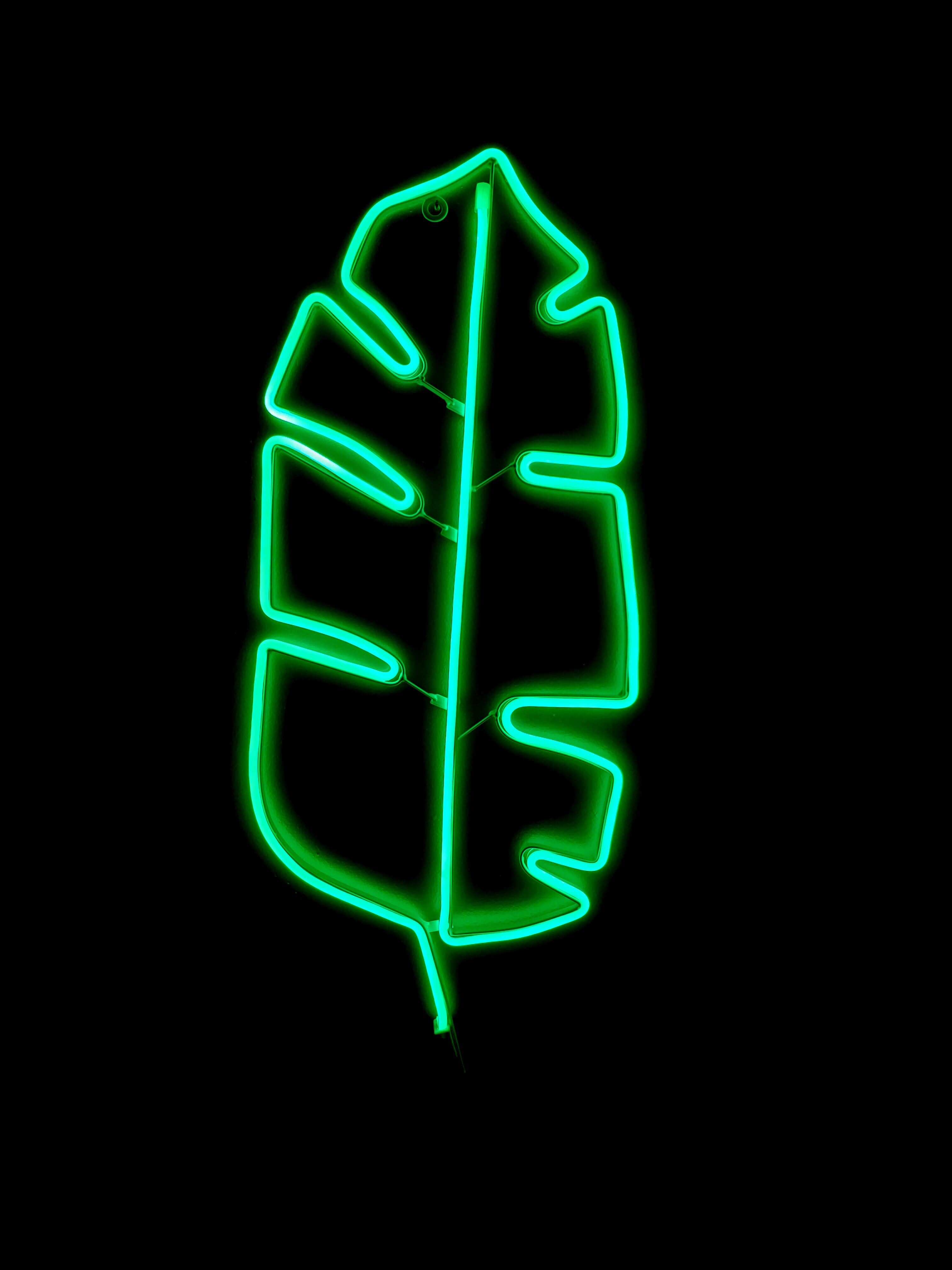 neon sign leaf