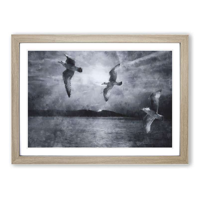 Three Seagulls - Picture Frame Graphic Art, 36cm H x 48cm W x 2cm D, Oak