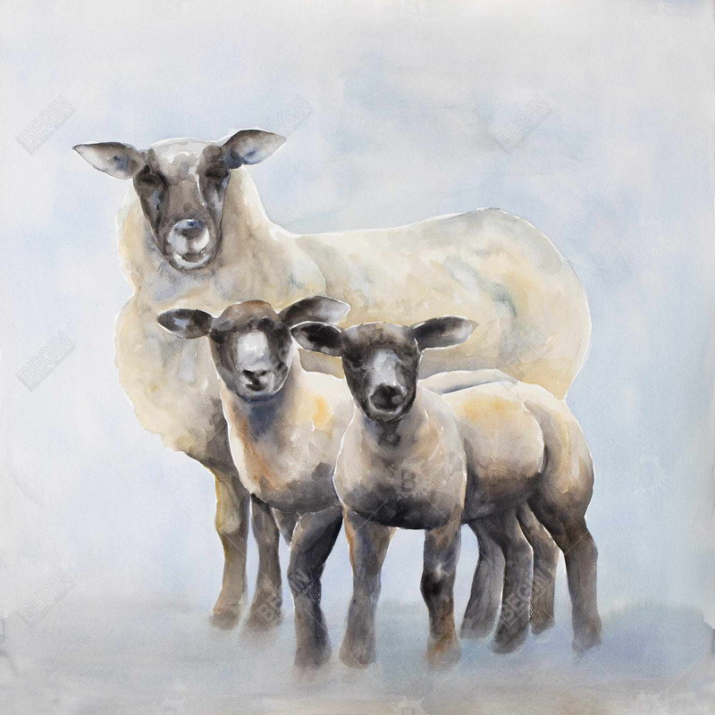 «Sheep Family»