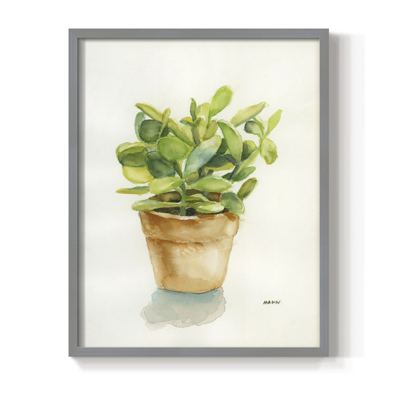 «Succulent I», reproduction encadrée - bois massif, Gris, H 15 po x l 12 po