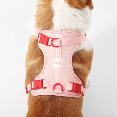 Harnais pour animal de compagnie Arlo