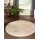 Saphira Chenille Oriental Indoor Rug