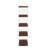 Rhuan Contemporary Walnut & Glass Book Case-269185119