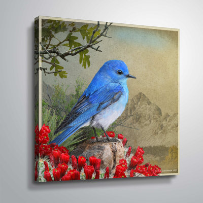 " Bluebird Overlook "