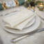 Yvaine Polyester Snowflake Square Napkin-1281490386