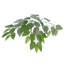 Ficus artificiel 4 ', contenant en plastique-1933214930