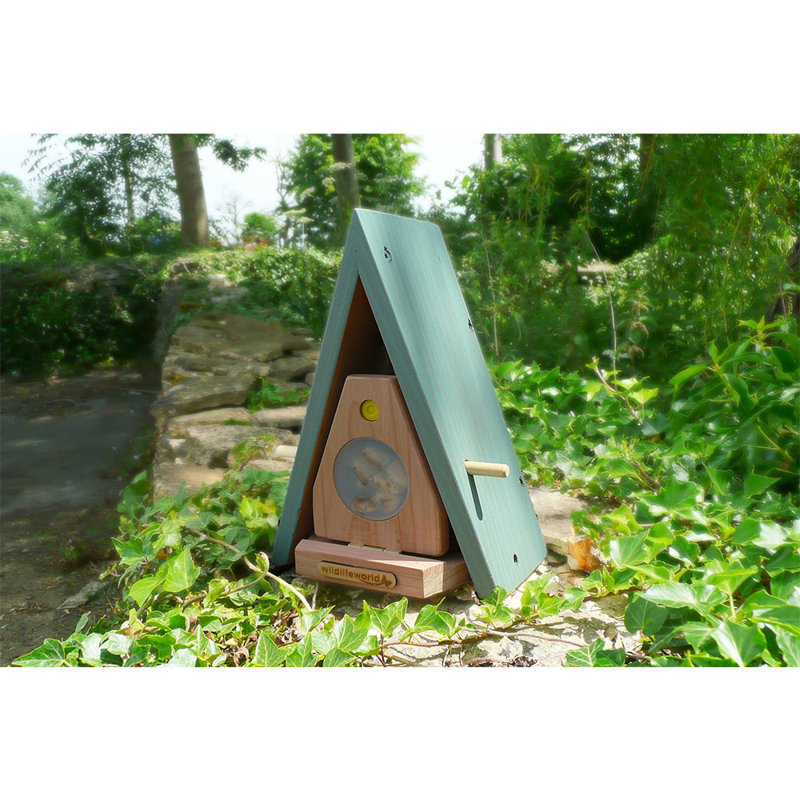 Neyla Mounted Butterfly House