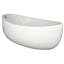 Picasso 60 in. L Freestanding Soaking Tub