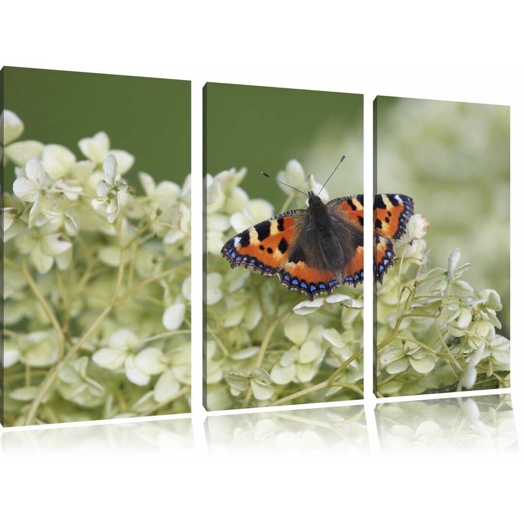 3-tlg. Leinwandbilder-Set Farbenfroher Schmetterling auf en Blüten, Grafikdruck