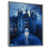 Silver Floater Framed Canvas