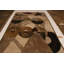 One-of-a-Kind 4' X 6' Hand Knotted Area Rug