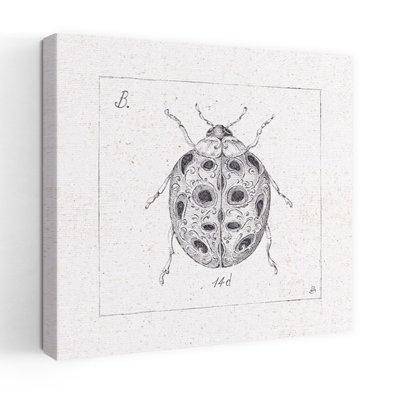 Contemporary Art Contemporary Ladybug Beetle Art by Daphne Brissonnet - Wrapped Canvas Print
