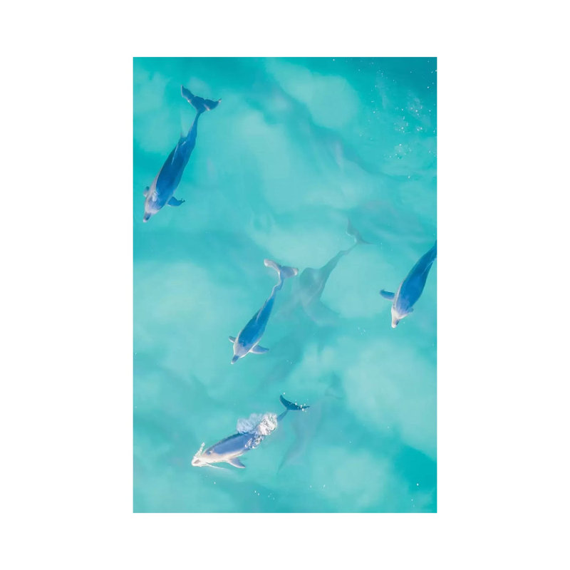 Cruisy Dolphins I 1 Piece Wrapped Canvas Wall Art, 101.6cm H x 66.04cm W x 3.81cm D