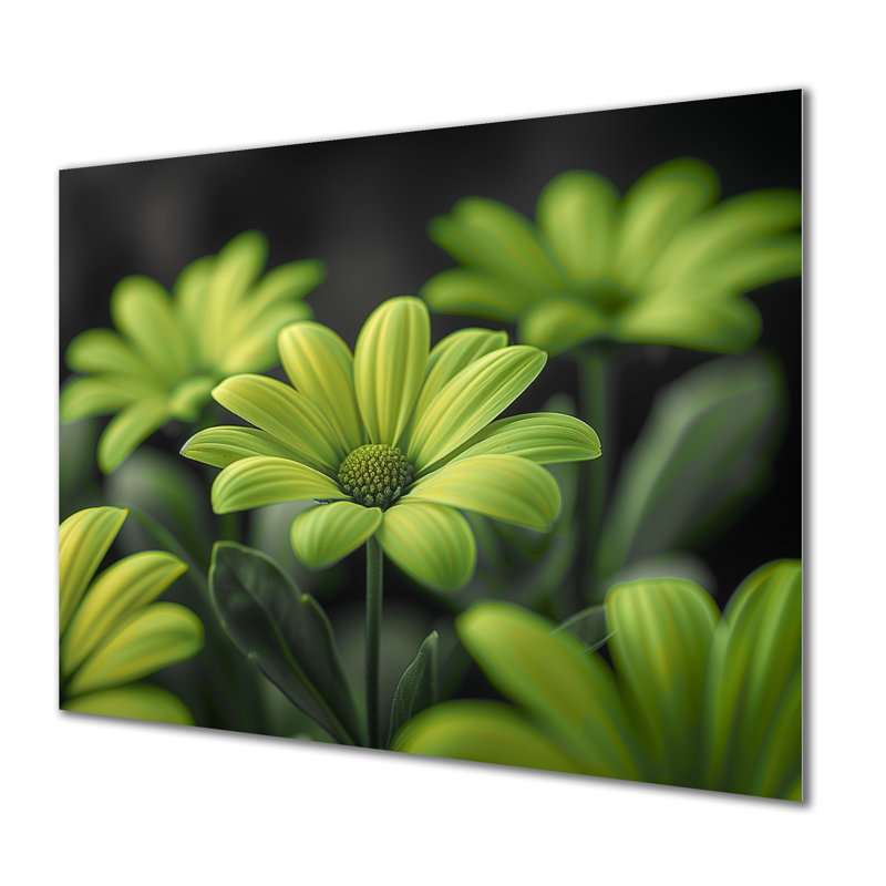 Photo de marguerites monochromes vertes et noires - salon de marguerites murales, Métal métal, H 30 po x l 40 po