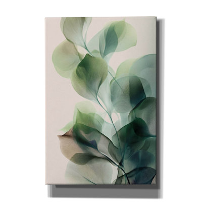'Translucent Greens' by Rich Monet Canvas Wall Art, 40" x 60"