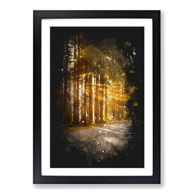'Sunlight Through the Forest' - Picture Frame Graphic Art Print, 63cm H x 45cm W x 2cm D, Black Framed