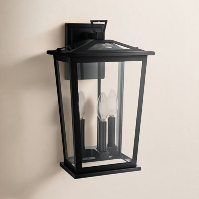Jamila 9.45 Inch Outdoor Wall Sconce in Black