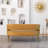 Chynna 51.2'' Velvet Loveseat-1761889364