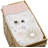 Celestial Changing Pad Cover