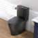 Elongated One Piece Toilet with Comfort Seat Height 17.3", Power Dual Flush 0.8/1.28 GPF and MAP 1000g