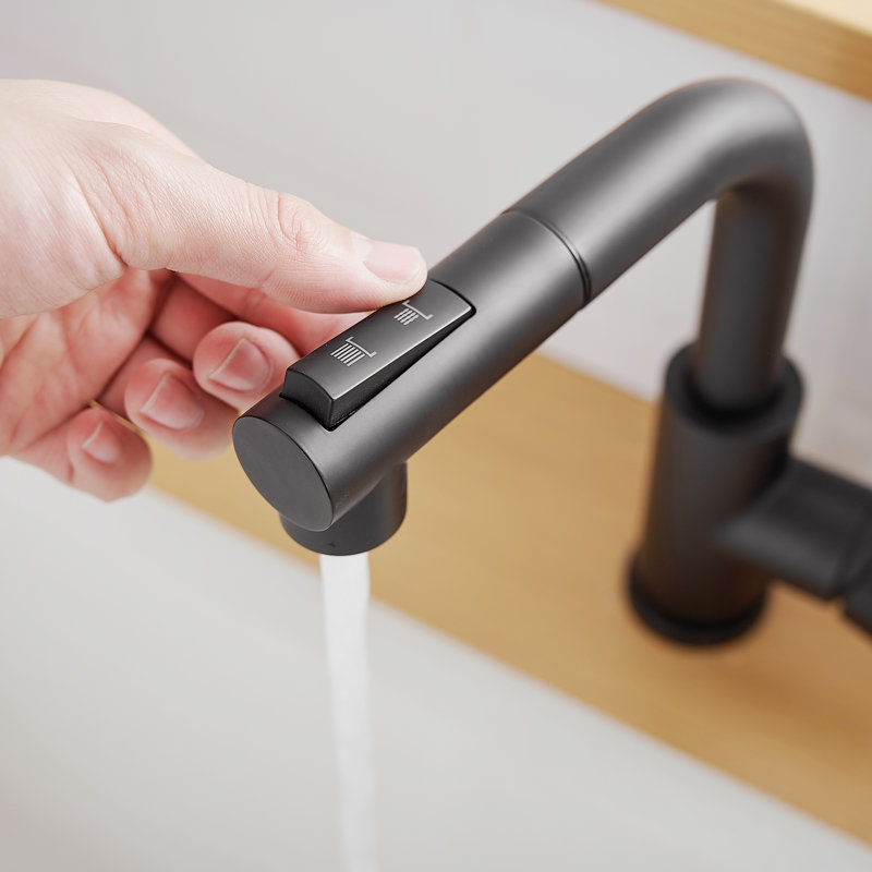 GAWEZA Pull Out Kitchen Faucet, Black
