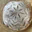 Customer photo 3 of 4