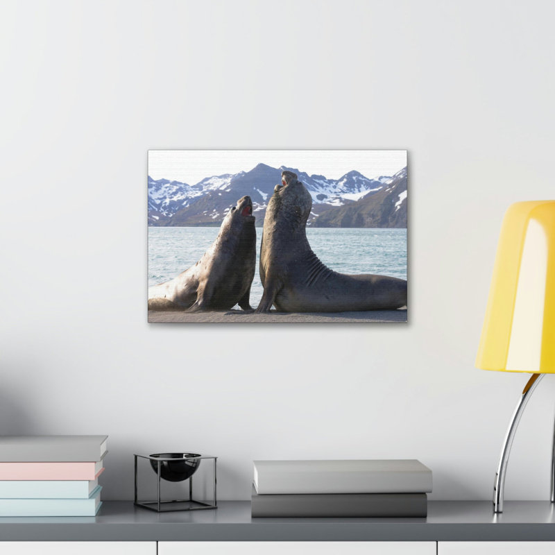 No Frame Print on Canvas, 11cm H x 14cm W