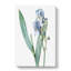 Dalmatian Iris Flower by Utagawa Kunisada - Wrapped Canvas-55342592