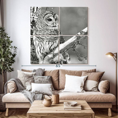 Hibou blanc Brampt BW