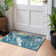  Machine Washable Indoor/Outdoor Chayden ACN1061 Rug