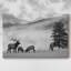 Toile tendue Mountain-336833096