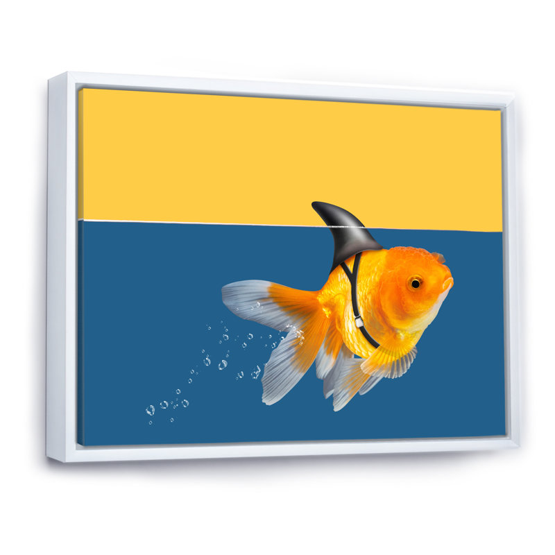 " Goldfish Shark Swimming ", 16" H x 32" W x 1" D, White Floater Frame