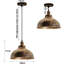 - Light Dome Pendant-735469975