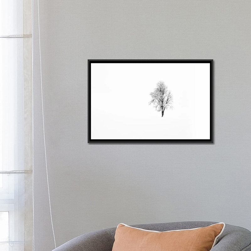 «Nature I», reproduction sur toile, H 18 po x l 26 po x P 1,5 po, Toile encadrée noire
