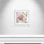 Intime rosé II - photographie-60493310-60493306