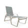 Holna Outdoor Rust-Resistant Metal Chaise Lounge