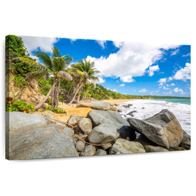 Plage de flamenco Nicci Rocky