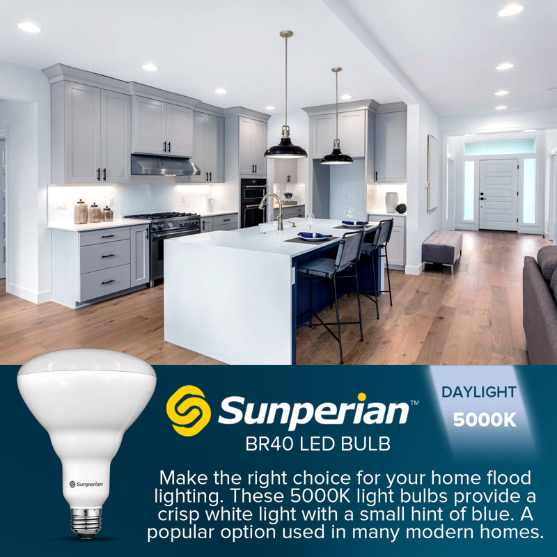 13 Watt (85 Watt Equivalent), BR40 LED, Dimmable Light Bulb, E26/Medium (Standard) Base, 5000 K