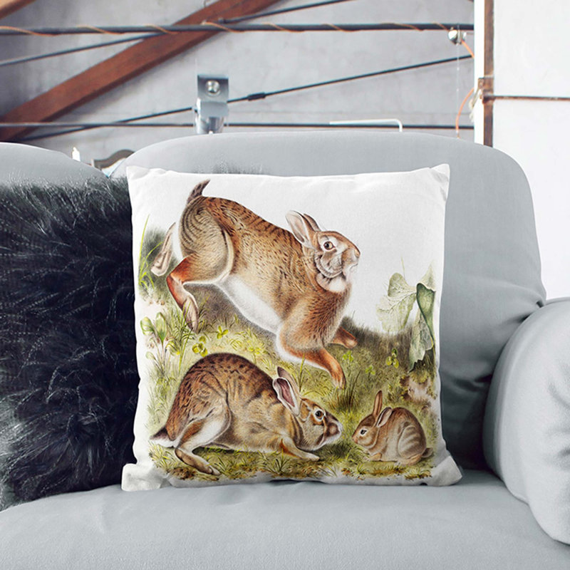 Rabbits by J.W. Audubon Cushion with Filling, Black, 55cm H x 55cm W x 20cm D