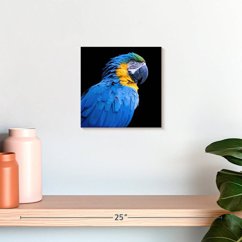 Brampt Neotropical Blue Macaw, 10'' H x 10'' W