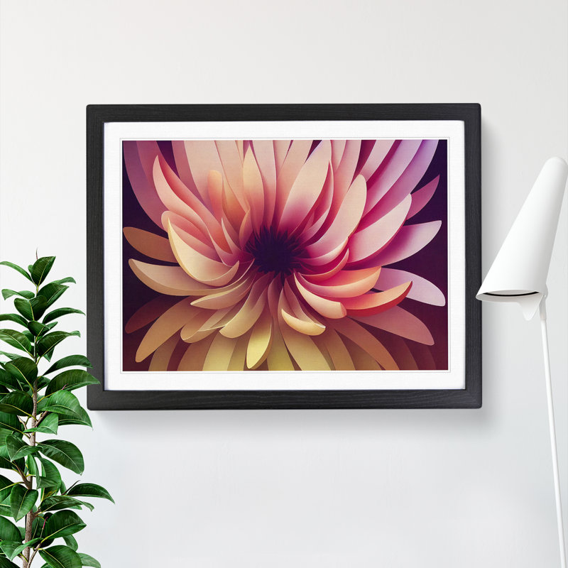 Alluring Chrysanthemum Flower - Single Picture Frame Print, 25cm H x 34cm W x 2cm D, Black