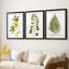 Nature Printed Botanicals douzième-257825202-257825212