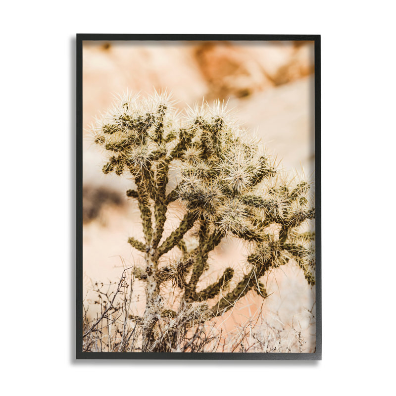«Arid Cactus Desert Plant» par Krista Broadway - photographie, H 14 po x l 11 po x P 1,5 po, Giclée encadrée noir minuit