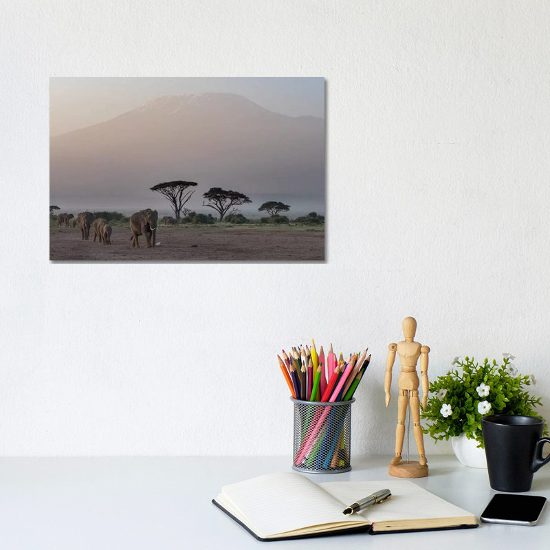 Africa, Kenya, Amboseli National Park. Elephants And Umbrella Thorn Acacia Trees. by Jaynes Gallery - Wrapped Canvas Painting