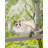 Cordless Cat Window Perch, Foldable Cat Window Hammock With 4 Suction Cups, Reversible Cover With Two Different Kinds Of Fabrics, Solid Metal Frame Cat Window Bed For Cats Inside, Grey